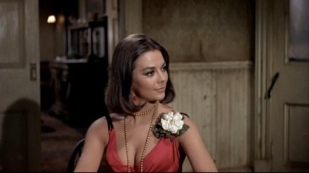 Alva's namesake -- beautiful curves, great lines