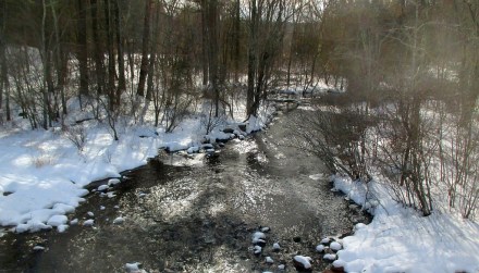 February does have some consolation -- Chatfield Brook in our favorite dog walking area